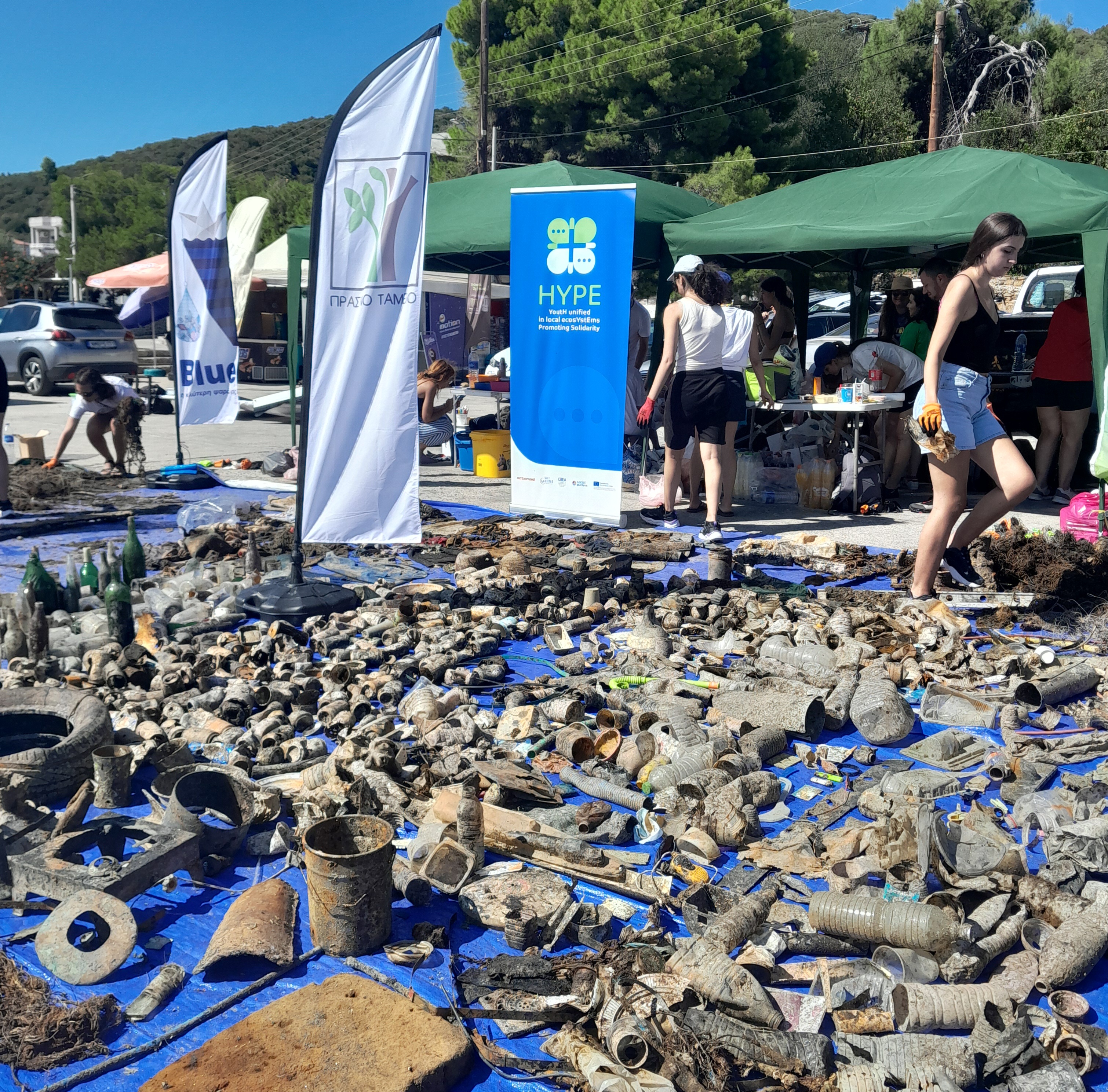 Solidarisea